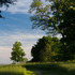 20130528184902-img_4573es