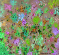 20130529013725-cj_landscape_no