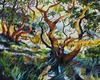 20130601190028-cori_creed_arbutus_grove_28088_360