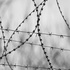 20130605125658-have_you_forgotten_you_password__