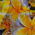 20130605182442-6948aaaa