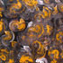 20130607124614-deep_spring_1280x