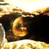 20130607215012-img_0319_copy_edited-1