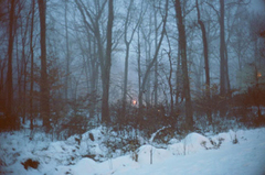 Katherine_carey_15