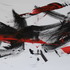 20130609060638-speed_dragon