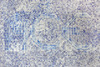 20130611113742-41__6913