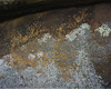 20130611225254-potencyfilledthings_web600