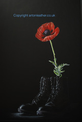 20130615090215-poppy_1_aol_copy