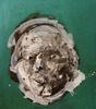 20130615120814-mordka_z_przodu