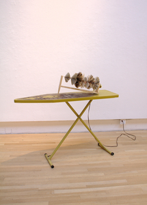 20130616054819-elliott_marshall_romance_rotisserie