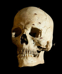 20130616203529-scull-1