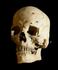 20130616203529-scull-1