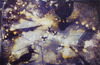 20130618005759-adlerleslie2