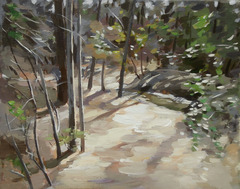20130619231920-trail