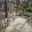 20130619231920-trail