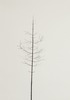 20130618151559-pastedgraphic-1_copy