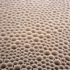 A4_cycle_detail