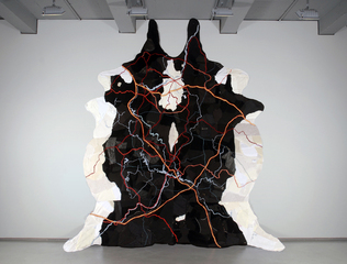 Map of Truth,Tamara Kostianovsky