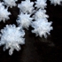 Cluster1