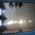 File525