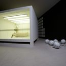 Borre_111408_0004