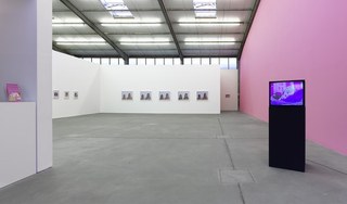 The Girl Studies installation view,Charlie White