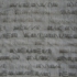 Takahashi_silk_det