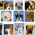 Dogloversdream