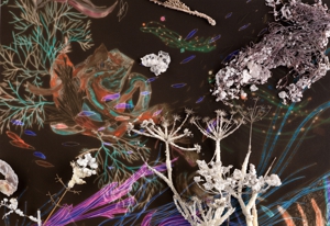 Christine_nguyen_-_dark_matter_of_fact