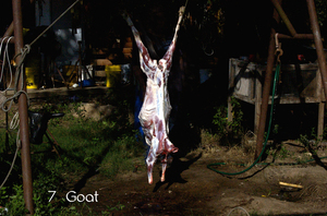 7_goat