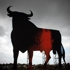 Bullfightiing