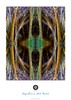 Aquaomni_art_river_-_khvdr_-_ao__ar_0500_copy