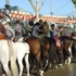 Seville_feria5