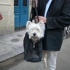 Doginbasket2