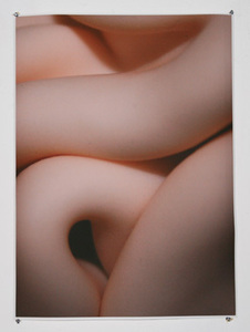 4-curves-2008