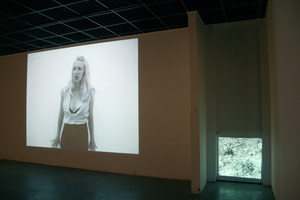 6-video_install1