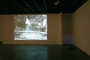 7-video_install2