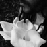 Closeup_profile_bw