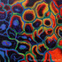 Artmatysik-dr-gerd-matysik-gm-2001-01-01-network-acrylic-c