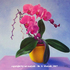 Artmatysik-dr-gerd-matysik-dc-gm-2007-07-orchide-100-5195-ueberarbeitet-oil-c