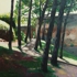 Trees_by_the_rocca