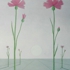 2kornblumen