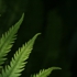 1d_coopermarsh_002