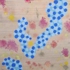 Microscopic_lifeforms_sq
