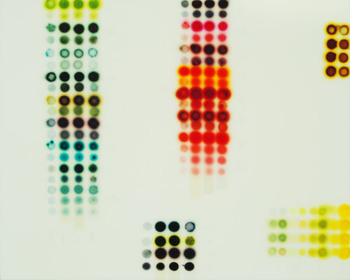 Color_chart_4whites-24x30