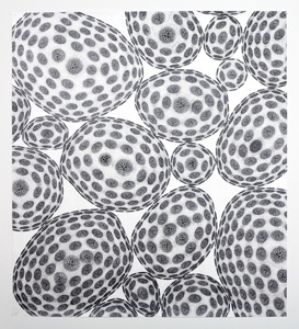 Image1