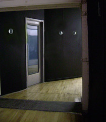 Fugitive Light,John R. Neeson
