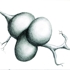 Sotstudy_no24