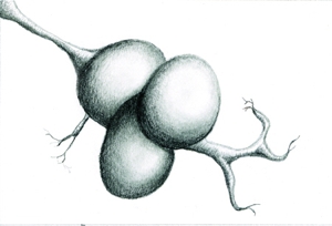 Sotstudy_no24