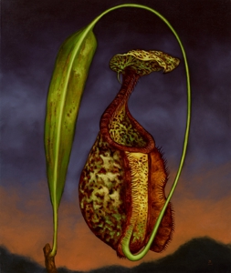 Nepenthe